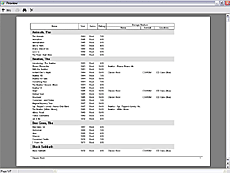 Печать: Печать отчета